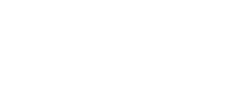 FIPP Logo